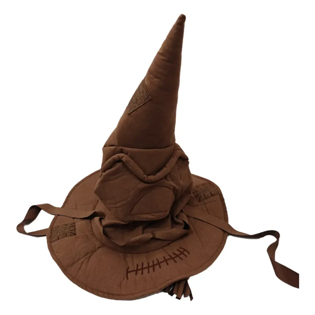 Harry Potter Sorting Hat