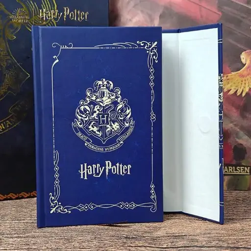 Hp (Magic Boy) Harry Potter Vintage Fold Diary